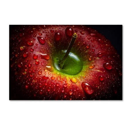 Aida Ianeva 'Red Apple' Canvas Art,16x24